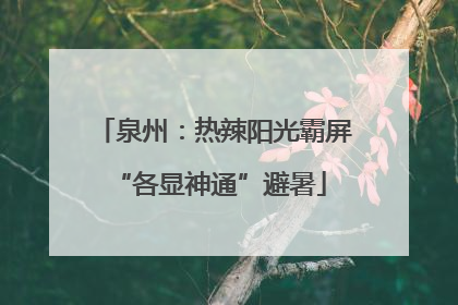 泉州：热辣阳光霸屏 “各显神通”避暑