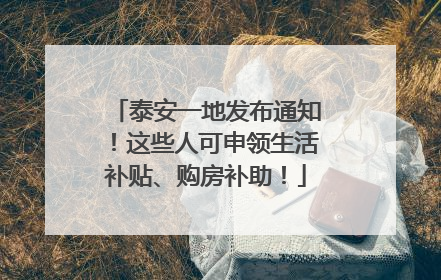 泰安一地发布通知！这些人可申领生活补贴、购房补助！