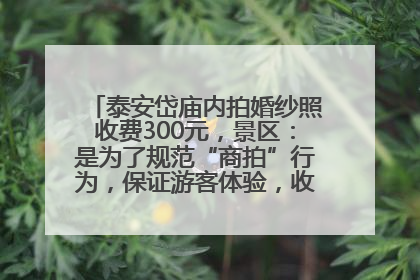 泰安岱庙内拍婚纱照收费300元，景区：是为了规范“商拍”行为，保证游客体验，收取费用全部上交国库