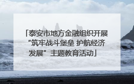 泰安市地方金融组织开展“筑牢战斗堡垒 护航经济发展”主题教育活动