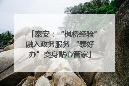 泰安：“枫桥经验”融入政务服务 “泰好办”变身贴心管家