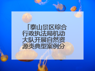 泰山景区综合行政执法局机动大队开展自然资源类典型案例分析交流活动