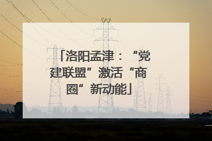 洛阳孟津：“党建联盟”激活“商圈”新动能