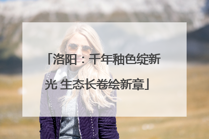 洛阳：千年釉色绽新光 生态长卷绘新章