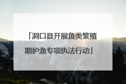 洞口县开展鱼类繁殖期护渔专项执法行动