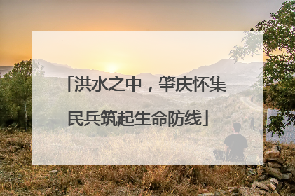 洪水之中，肇庆怀集民兵筑起生命防线