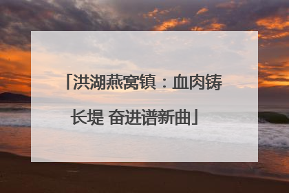 洪湖燕窝镇：血肉铸长堤 奋进谱新曲