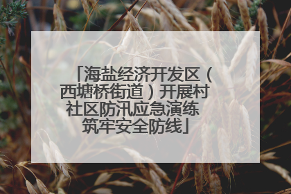海盐经济开发区（西塘桥街道）开展村社区防汛应急演练 筑牢安全防线