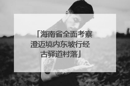 海南省全面考察澄迈境内东坡行经古驿道村落