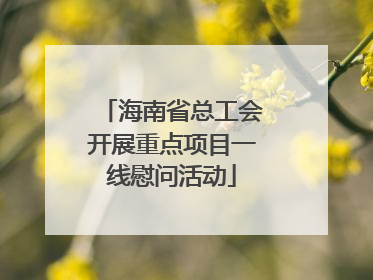 海南省总工会开展重点项目一线慰问活动