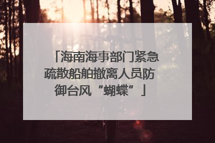 海南海事部门紧急疏散船舶撤离人员防御台风“蝴蝶”