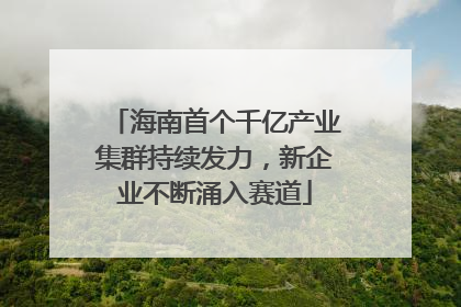 海南首个千亿产业集群持续发力，新企业不断涌入赛道