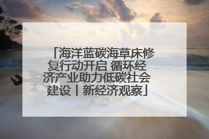 海洋蓝碳海草床修复行动开启 循环经济产业助力低碳社会建设丨新经济观察