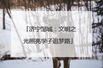 济宁邹城：文明之光照亮学子追梦路