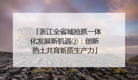 浙江全省域抢抓一体化发展新机遇②：创新热土共育新质生产力
