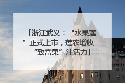 浙江武义：“水果莲”正式上市，莲农增收“致富果”注活力