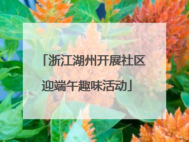 浙江湖州开展社区迎端午趣味活动