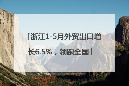 浙江1-5月外贸出口增长6.5%，领跑全国
