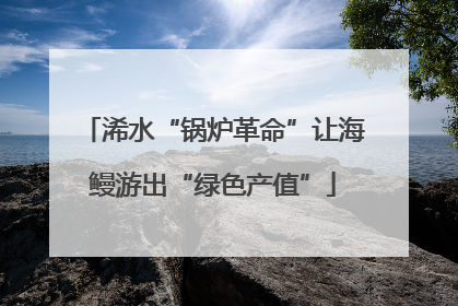 浠水“锅炉革命”让海鳗游出“绿色产值”