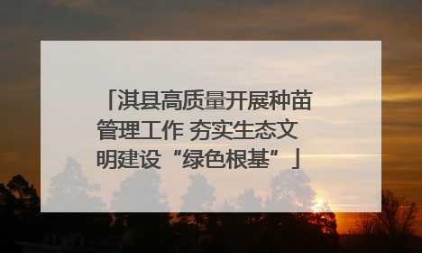 淇县高质量开展种苗管理工作 夯实生态文明建设“绿色根基”