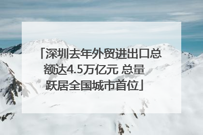 深圳去年外贸进出口总额达4.5万亿元 总量跃居全国城市首位