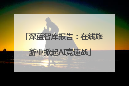 深蓝智库报告：在线旅游业掀起AI竞速战