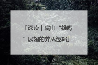 深读｜虞山“雄鹰”展翅的养成逻辑