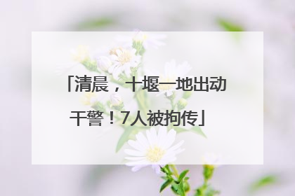 清晨，十堰一地出动干警！7人被拘传