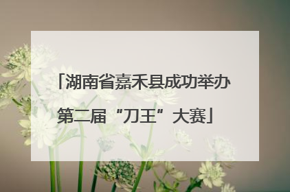 湖南省嘉禾县成功举办第二届“刀王”大赛