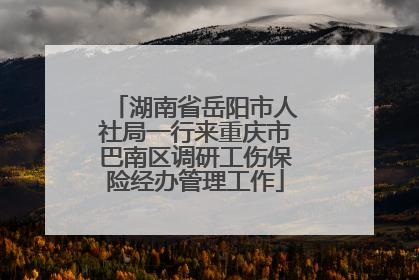 湖南省岳阳市人社局一行来重庆市巴南区调研工伤保险经办管理工作