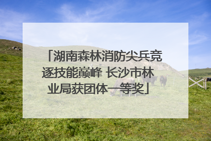 湖南森林消防尖兵竞逐技能巅峰 长沙市林业局获团体一等奖