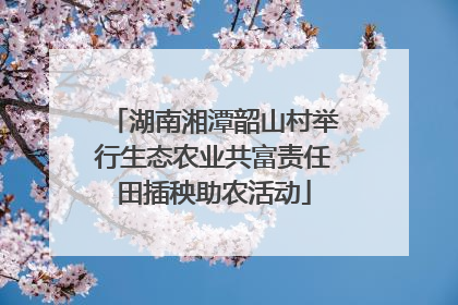 湖南湘潭韶山村举行生态农业共富责任田插秧助农活动