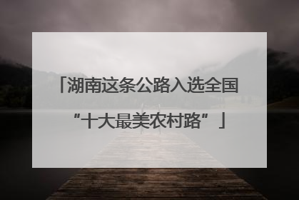 湖南这条公路入选全国“十大最美农村路”