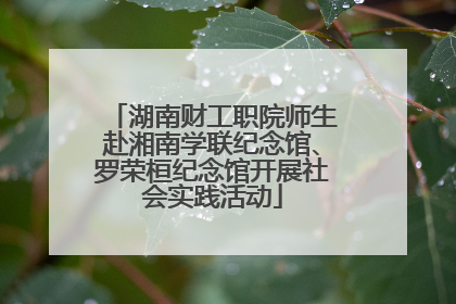 湖南财工职院师生赴湘南学联纪念馆、罗荣桓纪念馆开展社会实践活动