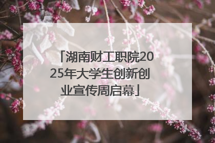 湖南财工职院2025年大学生创新创业宣传周启幕