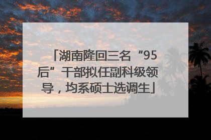 湖南隆回三名“95后”干部拟任副科级领导，均系硕士选调生