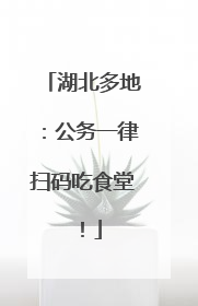 湖北多地：公务一律扫码吃食堂！
