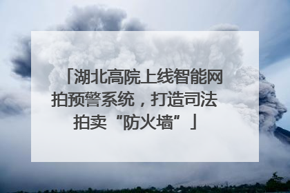 湖北高院上线智能网拍预警系统，打造司法拍卖“防火墙”