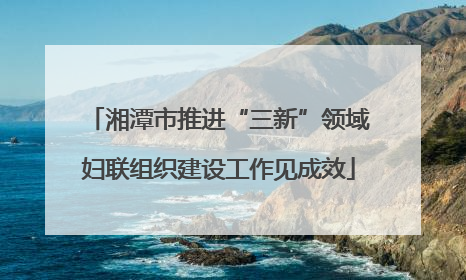 湘潭市推进“三新”领域妇联组织建设工作见成效