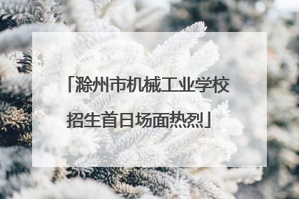 滁州市机械工业学校招生首日场面热烈