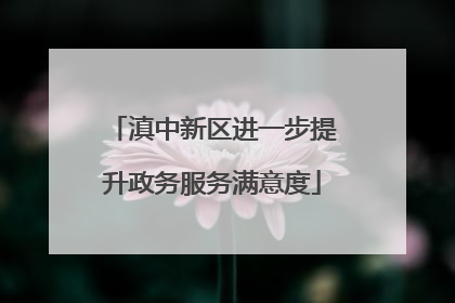 滇中新区进一步提升政务服务满意度