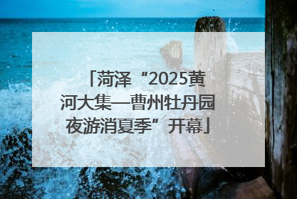 菏泽“2025黄河大集—曹州牡丹园夜游消夏季”开幕