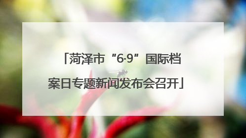 菏泽市“6·9”国际档案日专题新闻发布会召开