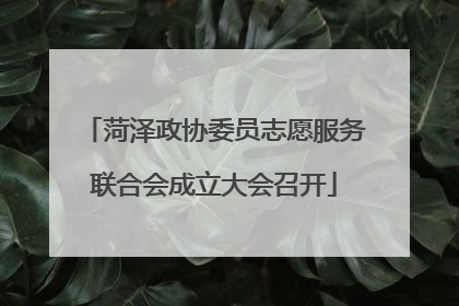菏泽政协委员志愿服务联合会成立大会召开