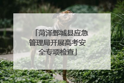 菏泽鄄城县应急管理局开展高考安全专项检查