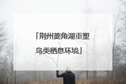 荆州菱角湖重塑鸟类栖息环境