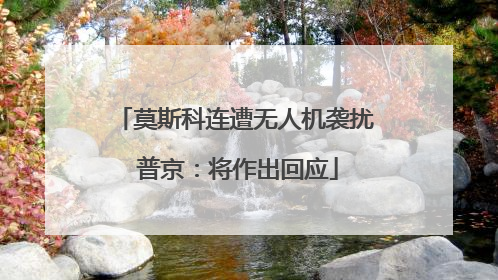 莫斯科连遭无人机袭扰 普京：将作出回应