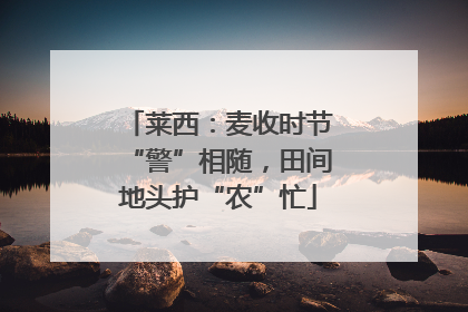 莱西：麦收时节“警”相随，田间地头护“农”忙