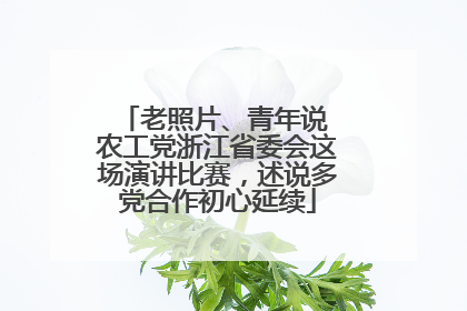 老照片、青年说 农工党浙江省委会这场演讲比赛，述说多党合作初心延续
