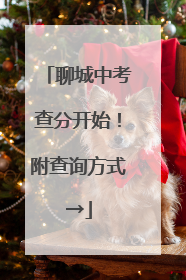 聊城中考查分开始！附查询方式→